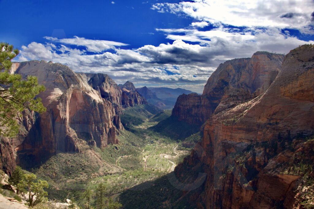 Zion's National Park